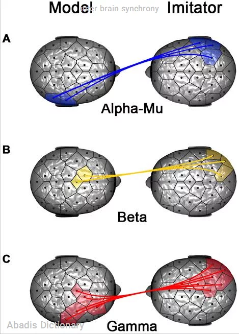 inter brain synchrony